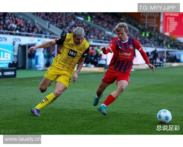 黄蜂球队新帅上任,球迷期待新赛季表现 黄蜂球队新帅上任,球迷期待新赛季表现