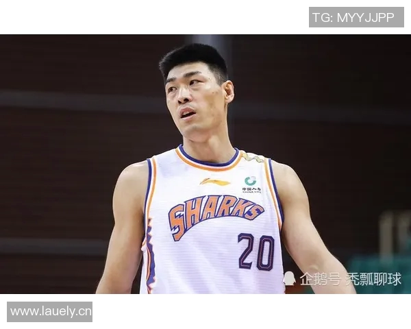 山东科研篮球迷：感慨CBA重启升降级制度